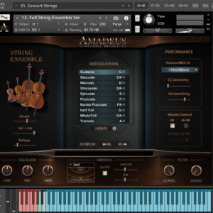 Amadeus Symphonic Orchestra