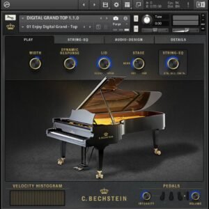 Bechsein digital grand
