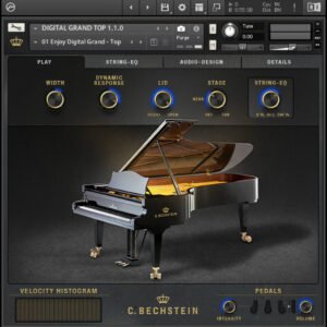 bechsein digital grand