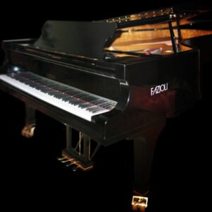 fazioli ebony concert
