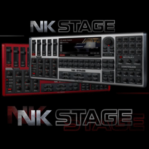 Nk stage