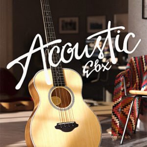 Acoustic EBX