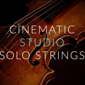 Cinematic studio solo strings