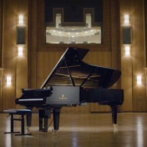 Synchron Yamaha CFX