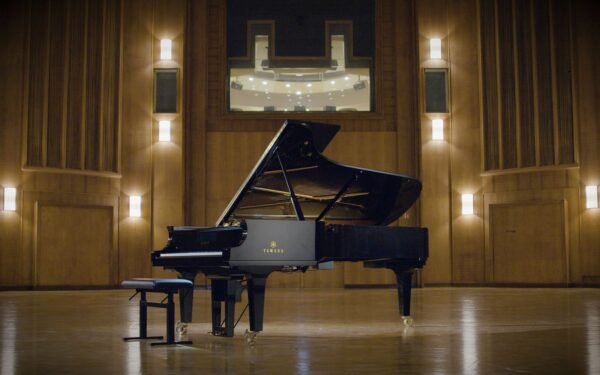 Synchron Yamaha CFX