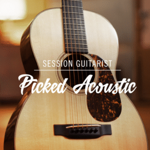 Session Guitarist - Picked Acoustic